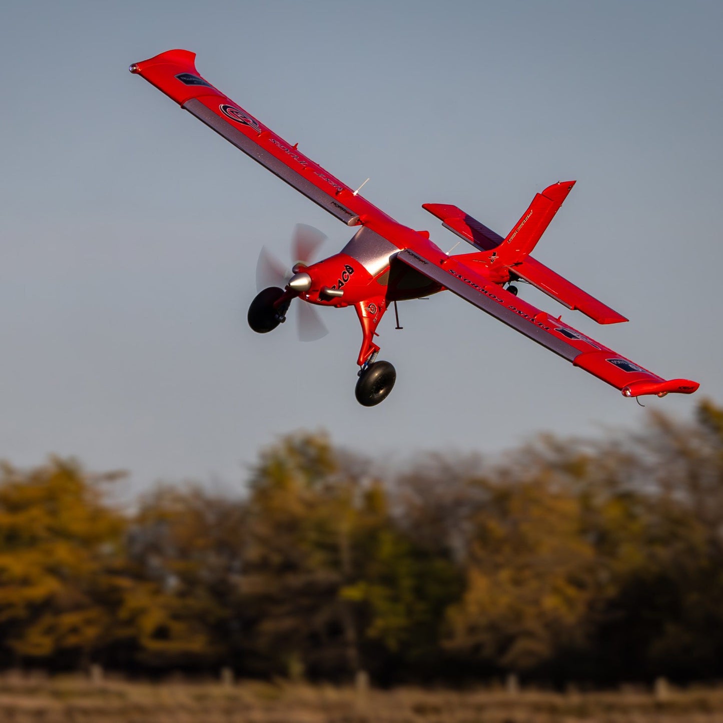 Micro DRACO RC Plane 800mm BNF Basic