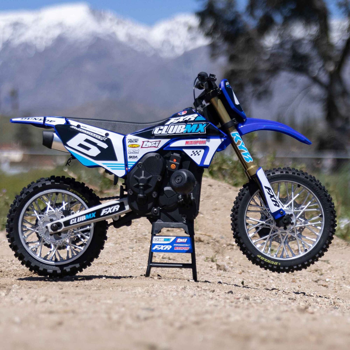 Losi 1/4 Promoto-MX Motorcycle RTR, Club MX Blue